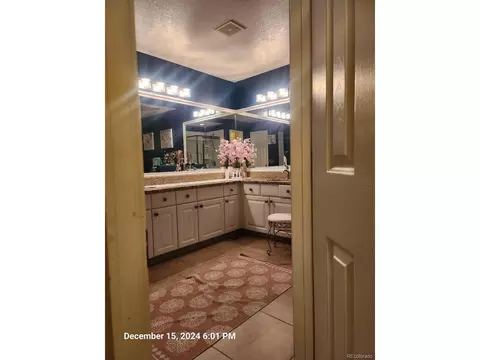 20102 E 43rd Ave, Denver, CO 80249 photo 14