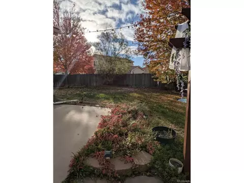 20102 E 43rd Ave, Denver, CO 80249 photo 23
