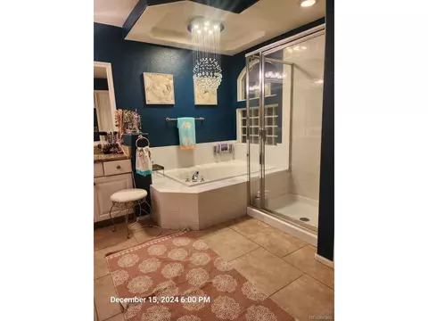 20102 E 43rd Ave, Denver, CO 80249 photo 16