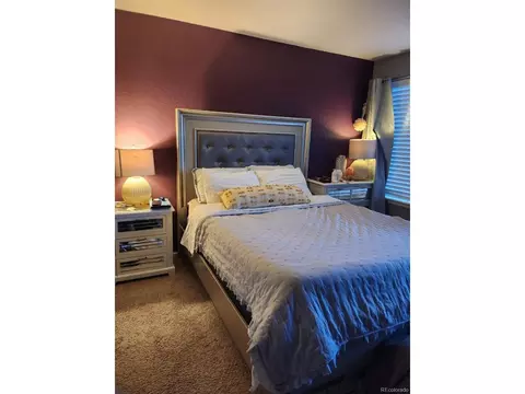 20102 E 43rd Ave, Denver, CO 80249 photo 12