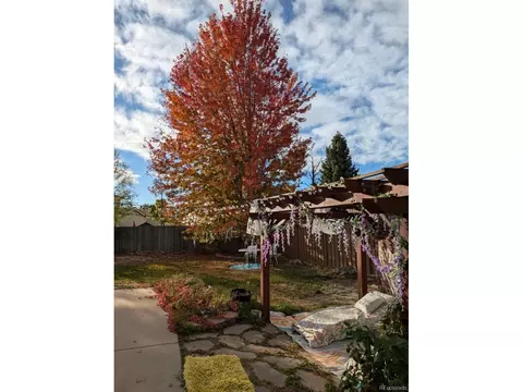 20102 E 43rd Ave, Denver, CO 80249 photo 25