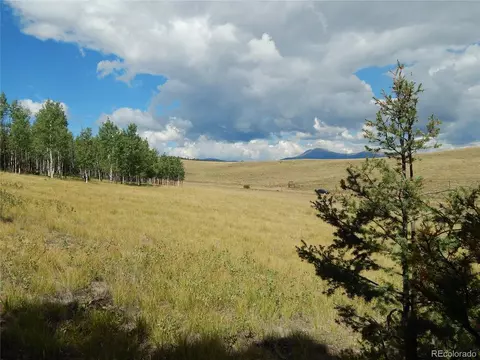 230 Tapedero Rd, Hartsel, CO 80449