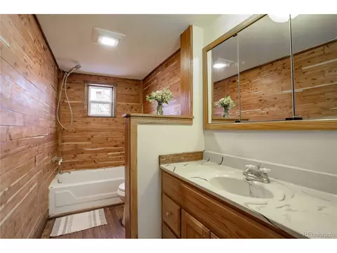 24090 Harrison Ave, Pine, CO 80470 photo 11