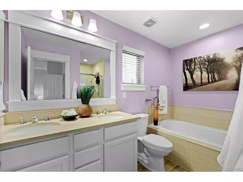 Bath - 8502 E 29th Pl, Denver, CO 80238 photo 2 of 5