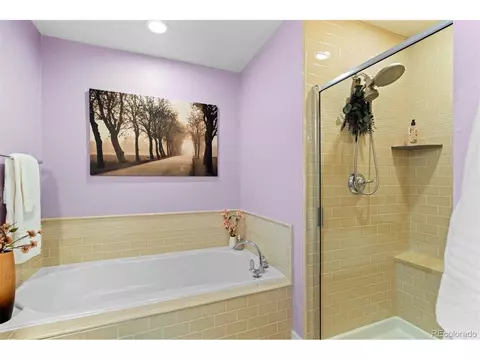 Bath - 8502 E 29th Pl, Denver, CO 80238 photo 3 of 5