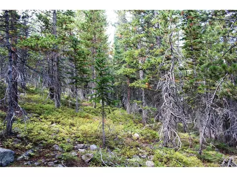 17577 Jackson, Black Hawk, CO 80422 photo 15