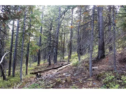 17577 Jackson, Black Hawk, CO 80422 photo 14