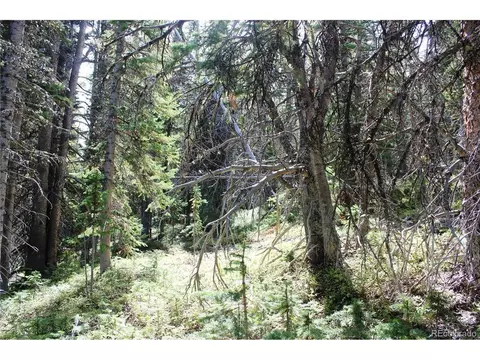 17577 Jackson, Black Hawk, CO 80422 photo 5