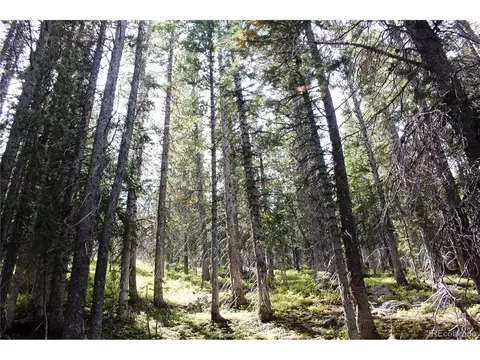 17577 Jackson, Black Hawk, CO 80422 photo 16