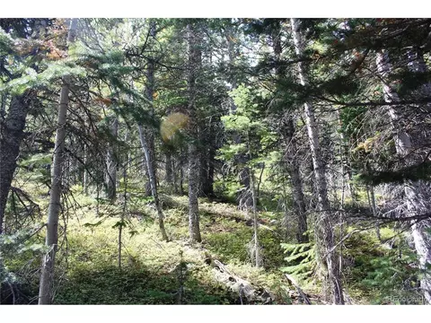 17577 Jackson, Black Hawk, CO 80422 photo 13
