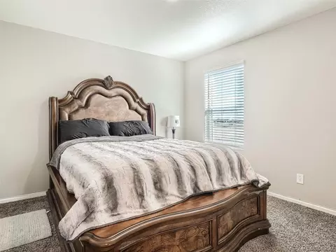 162 Haymaker Ln, Severance, CO 80550 photo 22