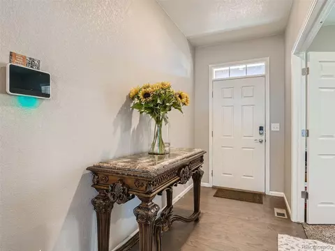 162 Haymaker Ln, Severance, CO 80550 photo 5