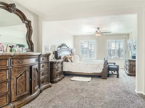 162 Haymaker Ln, Severance, CO 80550 photo 17