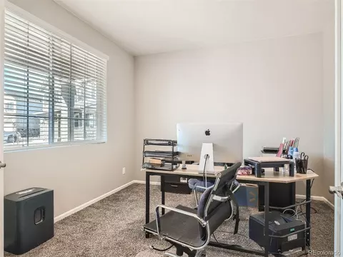 162 Haymaker Ln, Severance, CO 80550 photo 13