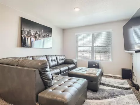 162 Haymaker Ln, Severance, CO 80550 photo 26