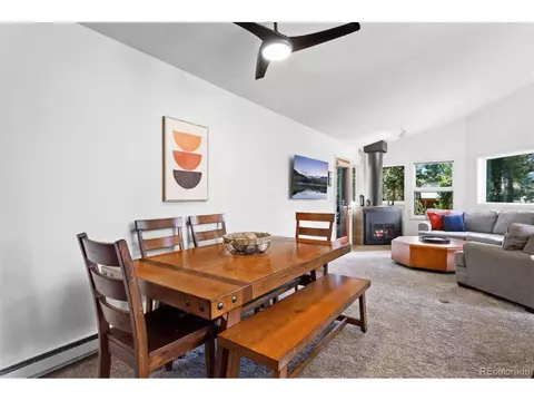207 Silver Lining Cir, Fraser, CO 80442 photo 11
