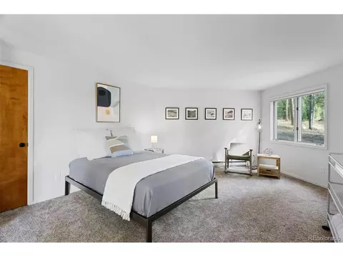 207 Silver Lining Cir, Fraser, CO 80442 photo 30
