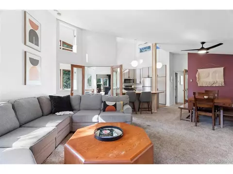 207 Silver Lining Cir, Fraser, CO 80442 photo 13