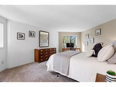 207 Silver Lining Cir, Fraser, CO 80442 photo 27