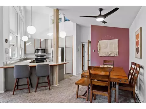 207 Silver Lining Cir, Fraser, CO 80442 photo 10