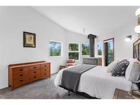207 Silver Lining Cir, Fraser, CO 80442 photo 19