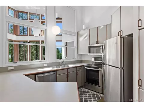 207 Silver Lining Cir, Fraser, CO 80442 photo 7