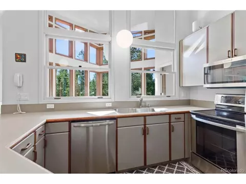 207 Silver Lining Cir, Fraser, CO 80442 photo 8