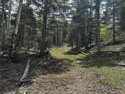 6651 Alexandra Rd, Fort Garland, CO 81133