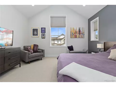 9750 E 62nd Dr, Denver, CO 80238 photo 21