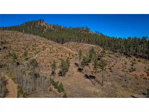 226 Valley Dr, Woodland Park, CO 80863