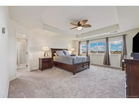 2481 E 163rd Pl, Thornton, CO 80602 photo 15