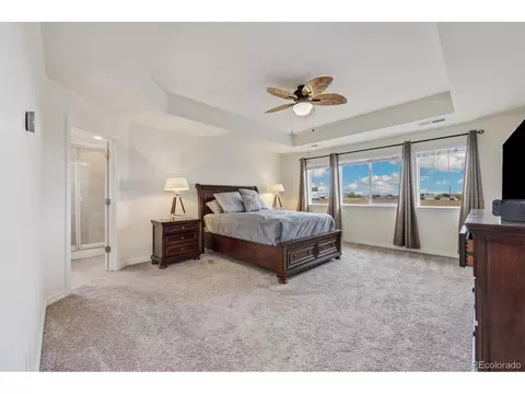 2481 E 163rd Pl, Thornton, CO 80602 photo 13