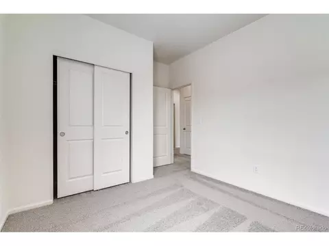 985 Cascade Falls St, Windsor, CO 80550 photo 13