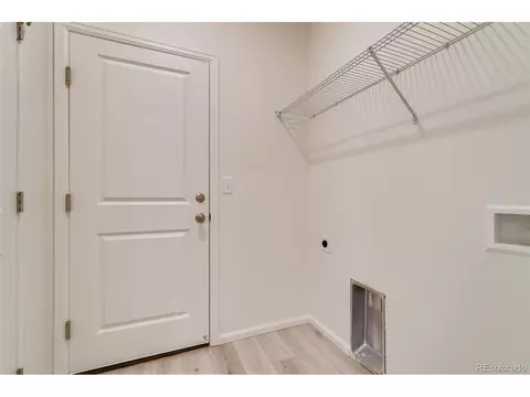 985 Cascade Falls St, Windsor, CO 80550 photo 15