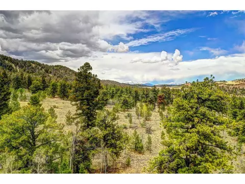 1534 Fitzsimmons Dr, Hartsel, CO 80449