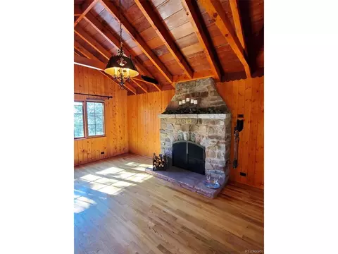 34053 Eagle Ln, Pine, CO 80470 photo 3