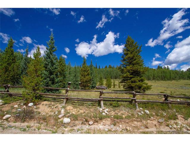1147 County Road 1, Fairplay, CO 80440