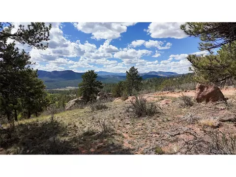 95 Navajo Trl, Florissant, CO 80816