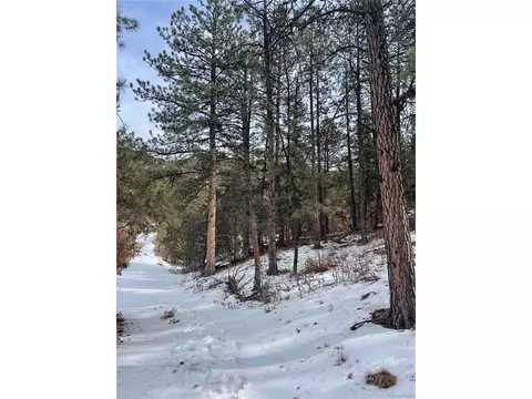22 Nd Trl, Cotopaxi, CO 81224 photo 9