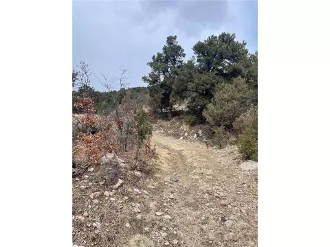 22 Nd Trl, Cotopaxi, CO 81224 photo 16