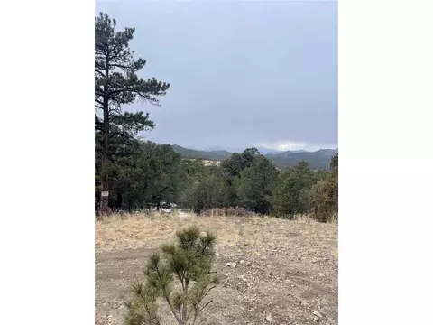22 Nd Trl, Cotopaxi, CO 81224 photo 22