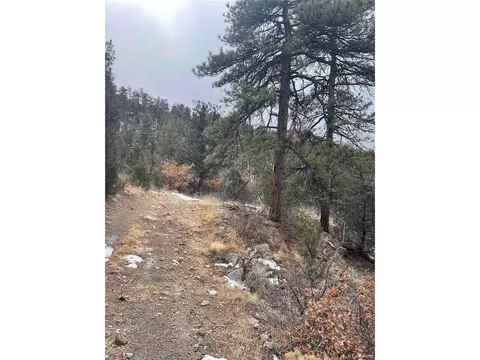 22 Nd Trl, Cotopaxi, CO 81224 photo 17