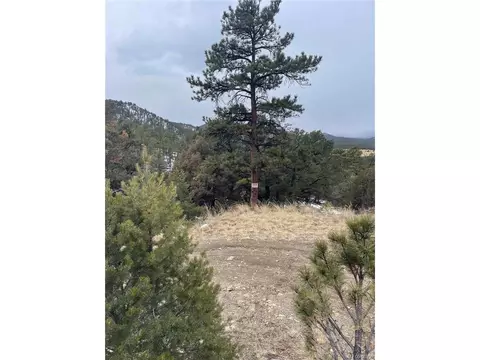 22 Nd Trl, Cotopaxi, CO 81224 photo 19
