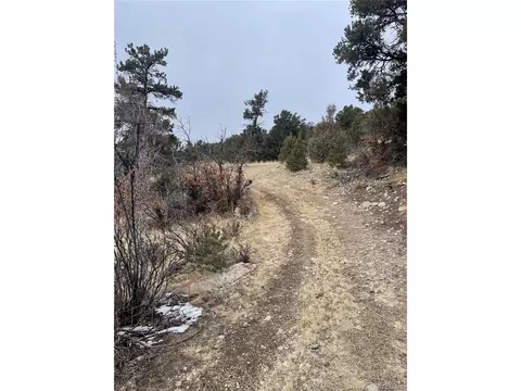 22 Nd Trl, Cotopaxi, CO 81224 photo 18