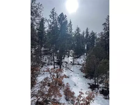 22 Nd Trl, Cotopaxi, CO 81224 photo 12
