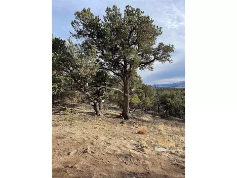 22 Nd Trl, Cotopaxi, CO 81224 photo 7