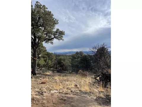 22 Nd Trl, Cotopaxi, CO 81224 photo 5