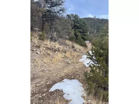 22 Nd Trl, Cotopaxi, CO 81224 photo 20