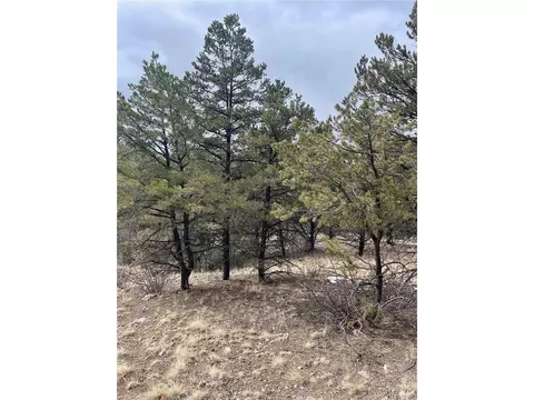 22 Nd Trl, Cotopaxi, CO 81224 photo 14