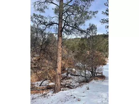 22 Nd Trl, Cotopaxi, CO 81224 photo 8